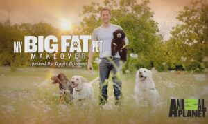 When Does My Big Fat Pet Makeover Season 2 Start On Animal Planet? Release Date