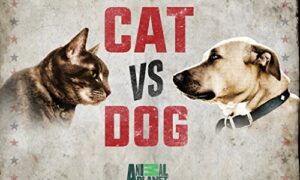 When Does Cat vs. Dog Season 2 Start? Animal Planet Release Date