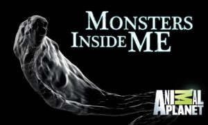 When Does Monsters Inside Me Season 9 Start On Animal Planet? Release Date