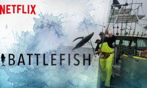 When Will Battlefish Season 2 Release? Netflix Premiere Date, Renwal Status