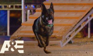 America’s Top Dog Season 1 Release Date on A&E; When Does It Start?