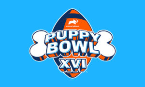 Puppy Bowl XVI Season 16 Release Date on Animal Planet; When Does It Start?