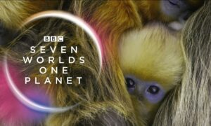 Seven Worlds, One Planet Season 1 Release Date on BBC America; When Does It Start?