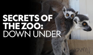 Secrets of the Zoo: Down Under Season 1 Release Date on Nat Geo Wild; When Does It Start?