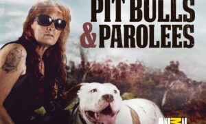 Pit Bulls and Parolees Season 16 Release Date on Animal Planet, When Does It Start?