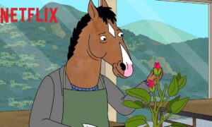 Did Netflix Renew BoJack Horseman Part 2 Season 7? Renewal Status and News
