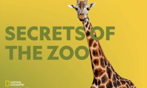 When Does ‘Secrets of the Zoo: Down Under’ Season 2 Start on National Geographic Channel? Release Date & News
