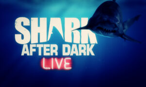 Did Discovery Channel Renew Shark After Dark Season 8? Renewal Status and News