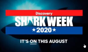 Shark Week 2020: Discovery Sets Date for Shark Week on August