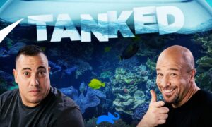‘Tanked’ Season 16 on Animal Planet; Release Date & Updates