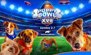 Puppy Bowl Specials “Puppy Bowl Presents” to Stream on discovery+