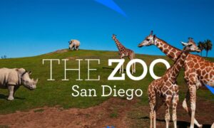 The Zoo: San Diego Season 2 Release Date on Discovery+; When Does It Start?