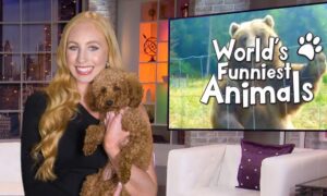 World’s Funniest Animals Season 2B Midseason 2022 Release Date