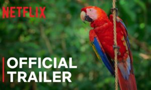 Life in Color with David Attenborough | Official Trailer | Netflix
