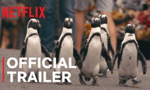 “Penguin Town” Official Trailer Released by Netflix – Watch Now