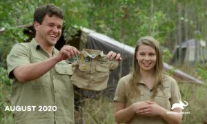 “Crikey! It’s the Irwins” Season 3 Premiere on Animal Planet Debuts in June Beginning with “Crikey! It’s a Baby!” Special