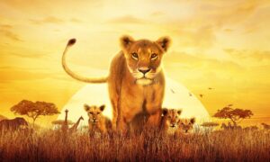 Discovery’s Emmy Nominated Series “Serengeti” Returns for Second Season in July, on Discovery and discovery+
