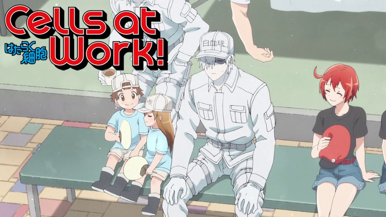 Cells at Work! Season 2: Where To Watch Every Episode