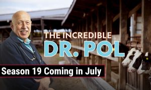 ‘The Incredible Dr. Pol’ Season 19 on National Geographic Channel; Release Date & Updates