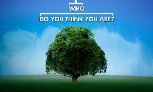“Who Do You Think You Are?” Season 12 Release Date Confirmed