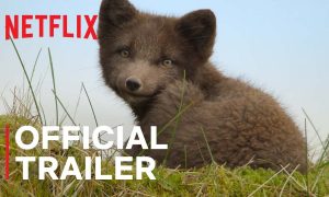 Wild Babies Netflix Release Date; When Does It Start?