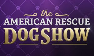 When Is Season 2 of “The American Rescue Dog Show” Coming Out? 2024 Air Date