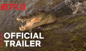 Wild Croc Territory Netflix Release Date; When Does It Start?