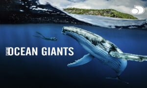 ‘Chasing Ocean Giants’ Season 2 on Discovery+; Release Date & Updates
