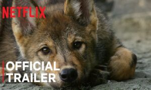 “Island of the Sea Wolves” Netflix Release Date; When Does It Start?