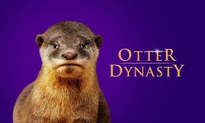 When Is Season 2 of Otter Dynasty Coming Out? 2024 Air Date