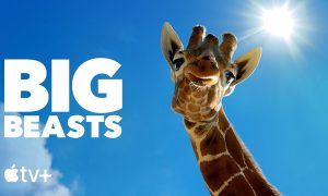 “Big Beasts” Debuts in April