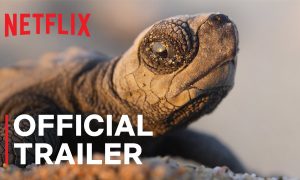 Our Planet II Netflix Release Date; When Does It Start?