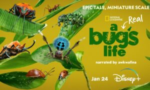 “A Real Bug’s Life” NatGeo Release Date; When Does It Start?