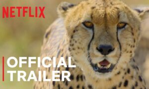 Did Netflix Cancel Animal Season 3? 2024 Date