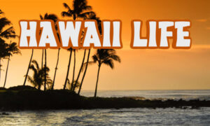 When Does Hawaii Life Season 13 Start? HGTV Premiere Date & Release