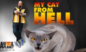 When Does My Cat From Hell Season 9 Start? Animal Planet Premiere Date (Renewed)