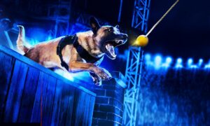 America’s Top Dog Premiere Date on A&E; When Does It Start? Release Date & News