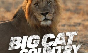 Big Cat Country Season 1 Release Date on Smithsonian Channel; When Does It Start?