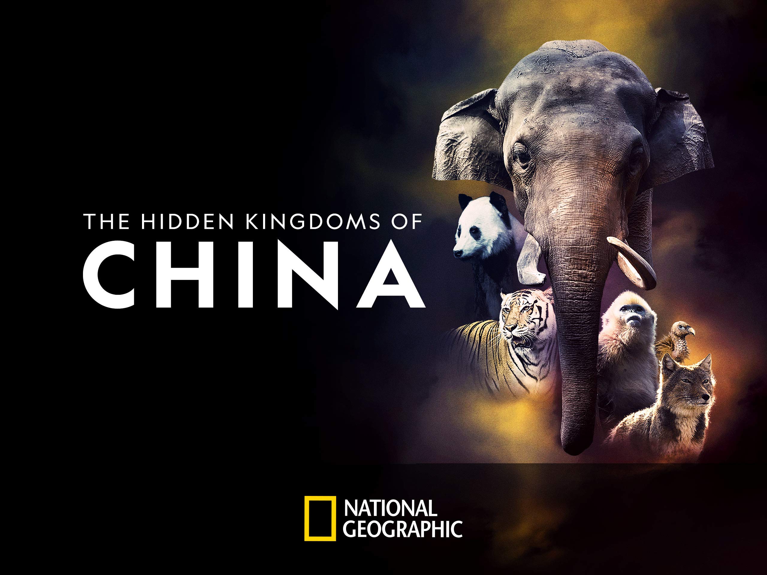 Did National Geographic Channel Renew The Hidden Kingdoms Of China