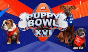 When Does ‘Puppy Bowl XVI’ Season 14 Start on Animal Planet? Release Date & News