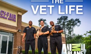 The Vet Life Season 7 Release Date on Animal Planet, When Does It Start?