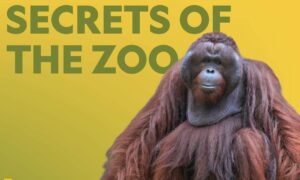 “Secrets of the Zoo” New Season Release Date on National Geographic Channel?