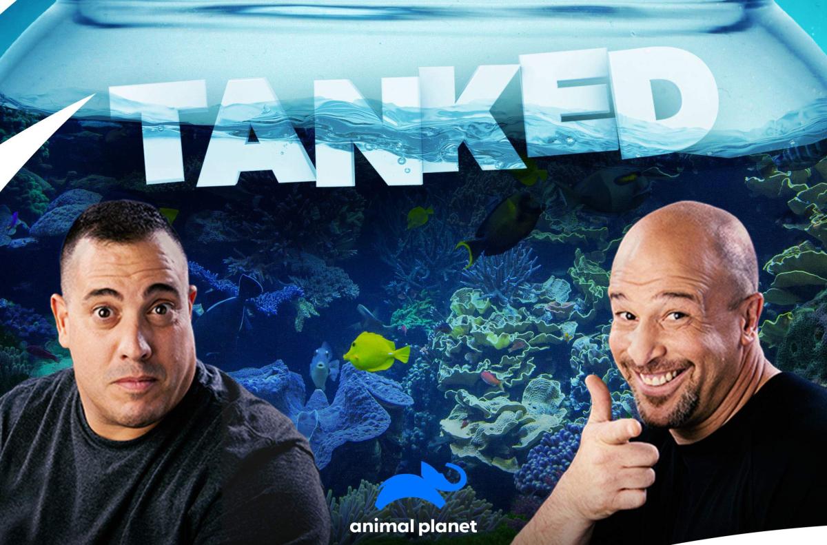 'Tanked' Season 16 on Animal Release Date & Updates // NextSeasonTV