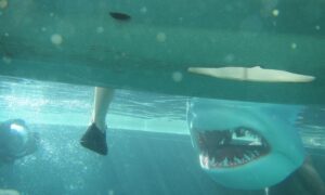 When Sharks Attack Season 7 Release Date on National Geographic Channel; When Does It Start?