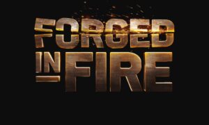 Forged in Fire New Season Release Date on History?