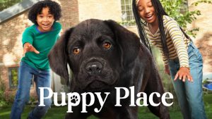 Date Set: When Does Puppy Place Season 2 Start?