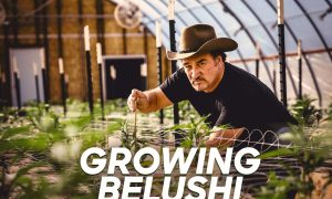 All-New Season of “Growing Belushi” Premieres on Discovery Channel in April